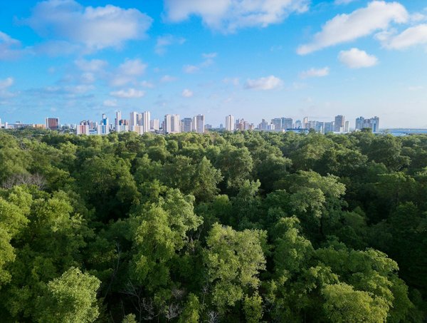 Découvrez les literies idéales pour un sommeil revitalisant